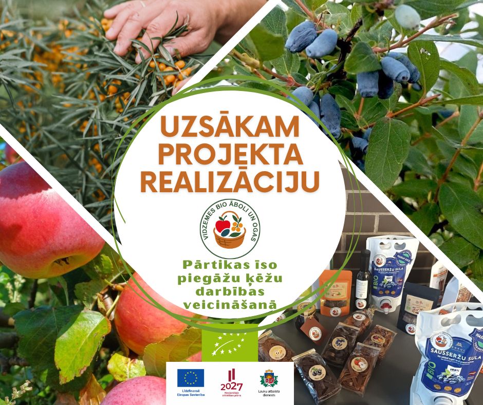 Projekta_realizacija.jpg