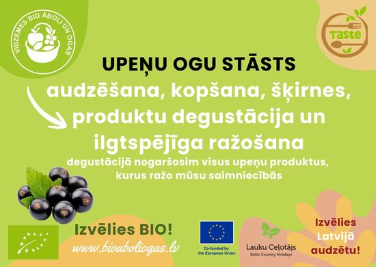 Upeņu ogu stāsts