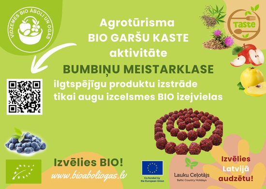 Bumbiņu meistarklase