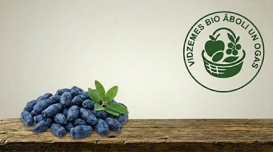 Saldēti sausserži BIO, 1kg