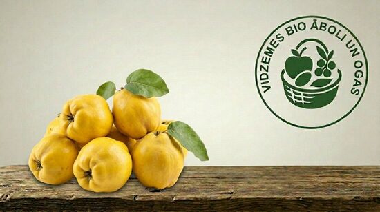 Saldētas cidonijas BIO, 1kg